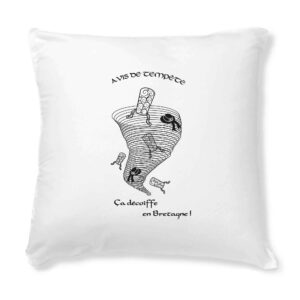 Housse de coussin seule