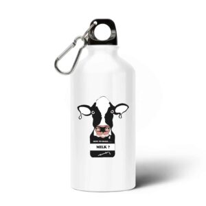 Récipient / Gourde / Bouteille en aluminium